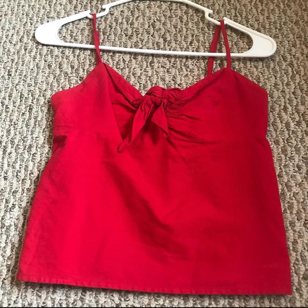 Red Brandy crop top